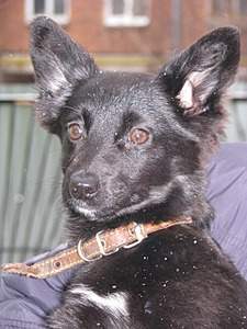 1920 X 2560 468.6 Kb 1920 X 2560 395.2 Kb  , ,    !