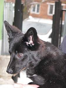 1920 X 2560 970.3 Kb 1920 X 2560 853.7 Kb 1920 X 2560 468.6 Kb 1920 X 2560 395.2 Kb  , ,    !