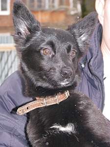 1920 X 2560 413.6 Kb 1920 X 2560 970.3 Kb 1920 X 2560 853.7 Kb 1920 X 2560 468.6 Kb 1920 X 2560 395.2 Kb  , ,    !