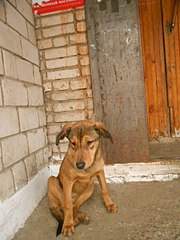 480 X 640 58.2 Kb    .