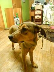 480 X 640 53.5 Kb 480 X 640 58.2 Kb    .