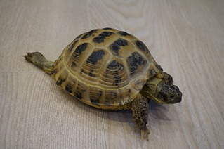 1920 X 1275 400.4 Kb   