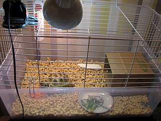 1632 X 1224 786.1 Kb 1920 X 1275 400.4 Kb   