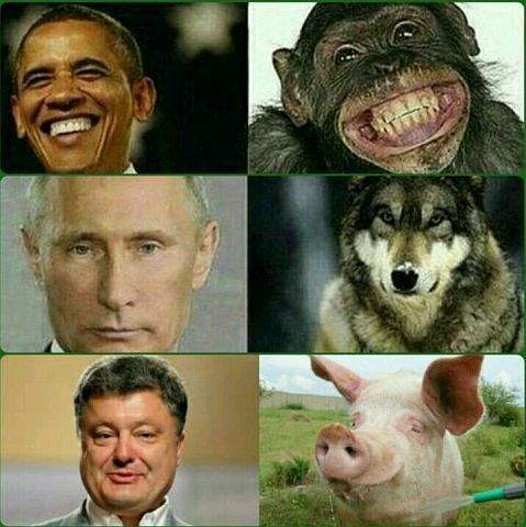479 x 480 Улыбнемся?