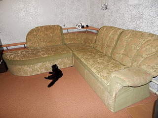 1920 X 1440 984.4 Kb   .