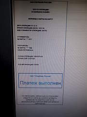 1920 X 2560 707.2 Kb Прошу помощи в оплате передержки и лечения от вирусного заболевания кошечки Триши