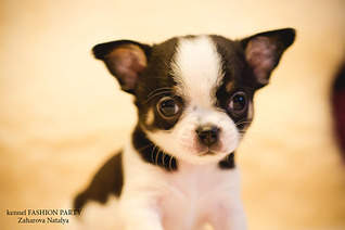 1920 X 1277 376.9 Kb 1920 X 1277 408.4 Kb 