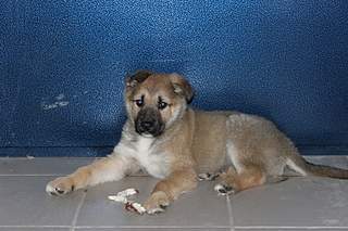 1500 X 1000 937.5 Kb 1700 X 1133 948.2 Kb   -  