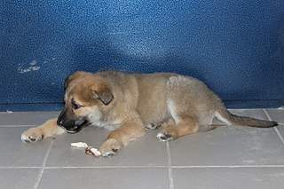 1500 X 1000 858.2 Kb 1500 X 1000 937.5 Kb 1700 X 1133 948.2 Kb   -  