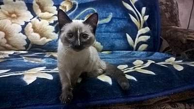 1920 X 1080 358.2 Kb   