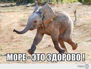 500 X 381  33.7 Kb Хотите в отпуск? Подберем лучшие предложения!