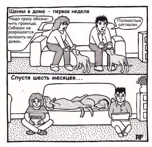604 x 586 Улыбнемся?