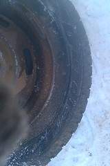 1728 X 2592 439.3 Kb 1728 X 2592 371.8 Kb    13 ( 1  )      