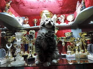 1600 X 1200 796.1 Kb 1600 X 1200 810.6 Kb 1600 X 1200 786.8 Kb  -