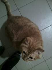 640 X 853  78.0 Kb       ,  