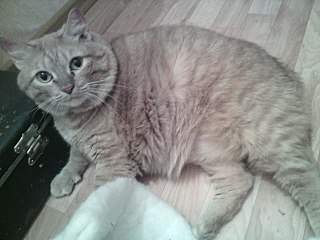 1280 X 960 207.2 Kb 1280 X 960 215.7 Kb 1280 X 960 198.4 Kb 640 X 853  78.0 Kb       ,  