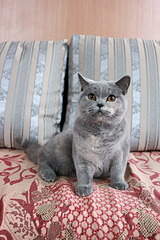 1920 X 2880 473.7 Kb 1920 X 2880 475.2 Kb 1920 X 2687 660.8 Kb   