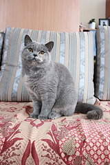 1920 X 2880 471.4 Kb 1920 X 2880 473.7 Kb 1920 X 2880 475.2 Kb 1920 X 2687 660.8 Kb   