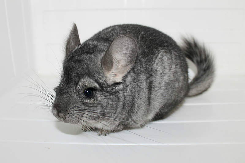 1920 X 1280 652.3 Kb -