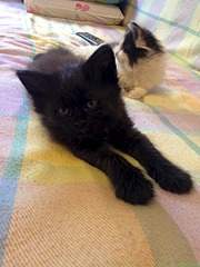 1920 X 2560 985.7 Kb   !    ()