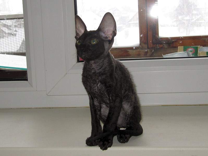 1920 X 1443 411.7 Kb ������ ����. ������.