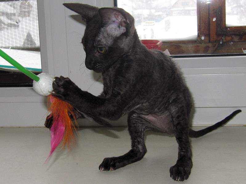 1920 X 1439 446.5 Kb 1920 X 1443 411.7 Kb  . .