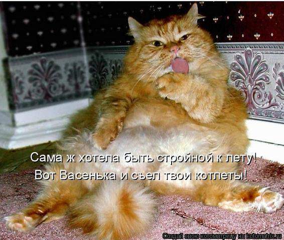 566 x 480 Улыбнемся?