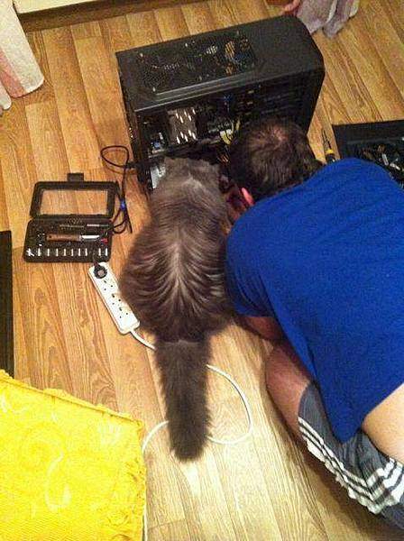 478 X 640 46.9 Kb Улыбнемся?