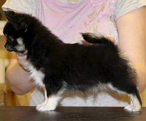 960 X 795  50.9 Kb 960 X 820  64.6 Kb   