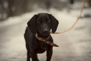 1920 X 1279 159.5 Kb 1280 X 853 83.1 Kb   