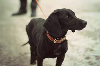 1920 X 1279 177.5 Kb 1333 X 2000 216.7 Kb 1920 X 1279 159.5 Kb 1280 X 853 83.1 Kb   