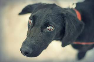 1920 X 1279 239.5 Kb 1920 X 1279 177.5 Kb 1333 X 2000 216.7 Kb 1920 X 1279 159.5 Kb 1280 X 853 83.1 Kb   