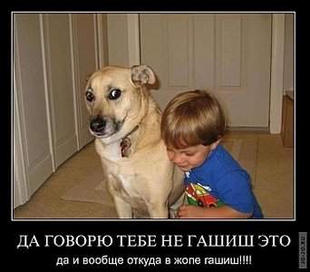 700 X 613 56.5 Kb     ...