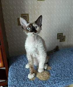 1920 X 2287 1007.6 Kb 1920 X 1334 440.6 Kb 1920 X 1440 430.9 Kb      !