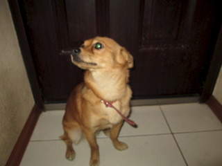 1920 X 1440 416.7 Kb 1920 X 1440 454.1 Kb 1920 X 1440 407.2 Kb  