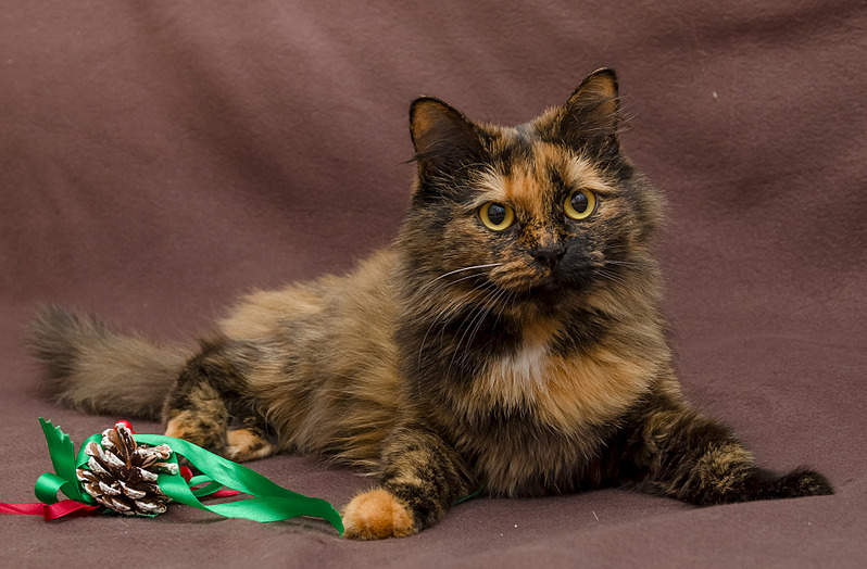 1920 X 1259 579.9 Kb     .