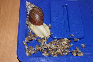 1920 X 1280 1005.9 Kb  