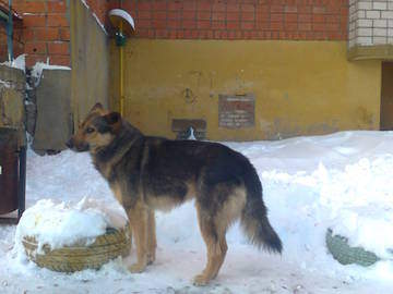 360 x 270 1920 X 1440 693.1 Kb    