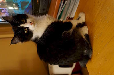 1920 X 1275 427.9 Kb �������� � ���������! ������-���������.