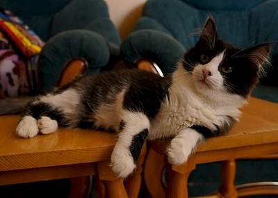 1920 X 1368 552.2 Kb 1920 X 1275 427.9 Kb �������� � ���������! ������-���������.