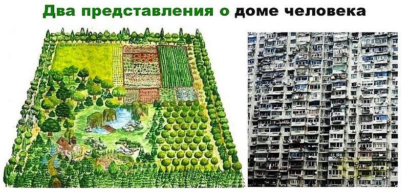 807 X 380 118.5 Kb Ижевск, строят на соплях