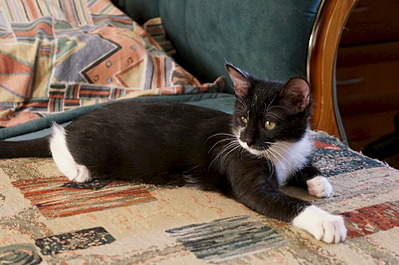 1920 X 1275 557.9 Kb �������� � ���������! ������-���������.