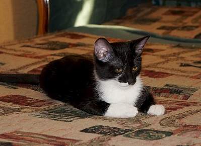 1920 X 1396 586.2 Kb 1920 X 1275 557.9 Kb �������� � ���������! ������-���������.