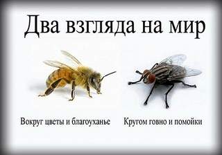 500 X 350 32.7 Kb Ижевск, строят на соплях