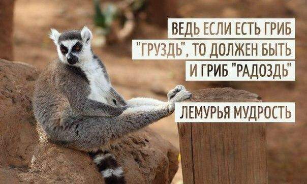604 x 362 Улыбнемся?