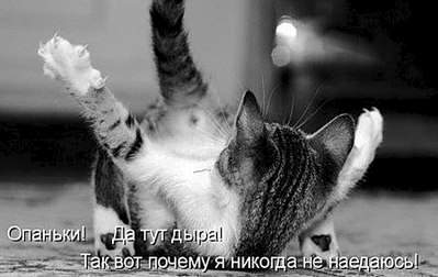 450 X 284  26.3 Kb Улыбнемся?