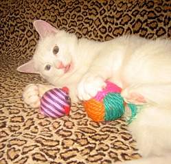 1248 X 1200 446.4 Kb 1275 X 1081 448.4 Kb      .