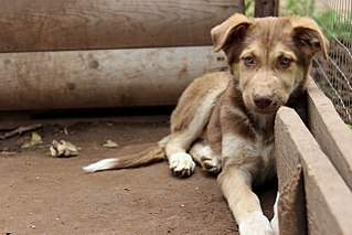 1280 X 853 164.2 Kb  -   