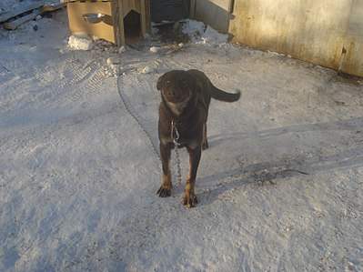 807 X 605 95.6 Kb  -   