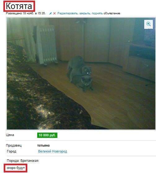 503 x 557 Улыбнемся?
